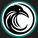 BetRaven logo